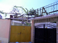 RIMG0006.jpg