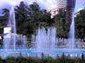 RIMG0026.jpg