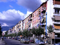RIMG0036.jpg