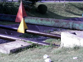 RIMG0037.jpg