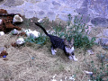 RIMG0041.jpg