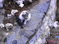 RIMG0042.jpg