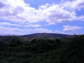 RIMG0048.jpg