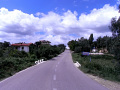 RIMG0050.jpg