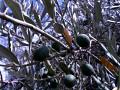 RIMG0053.jpg