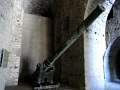 RIMG0077.jpg