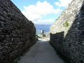 RIMG0091.jpg