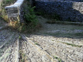 RIMG0096.jpg