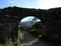 RIMG0099.jpg
