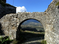 RIMG0100.jpg