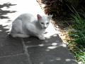 RIMG0146.jpg