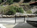 RIMG0148.jpg