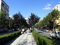 RIMG0160.jpg