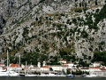 RIMG0176.jpg