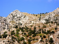 RIMG0177.jpg
