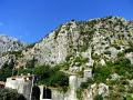 RIMG0179.jpg