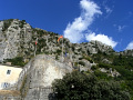 RIMG0181.jpg