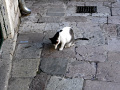 RIMG0194.jpg
