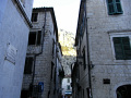 RIMG0212.jpg