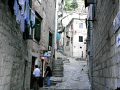 RIMG0223.jpg