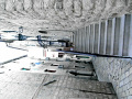 RIMG0231.jpg
