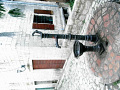 RIMG0234.jpg