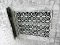 RIMG0236.jpg