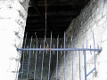 RIMG0242.jpg