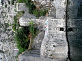 RIMG0243.jpg