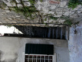 RIMG0250.jpg