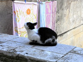 RIMG0251.jpg