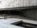 RIMG0253.jpg
