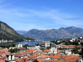 RIMG0256.jpg