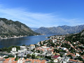 RIMG0262.jpg