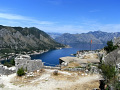 RIMG0265.jpg