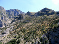 RIMG0266.jpg