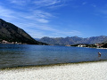 RIMG0272.jpg
