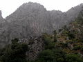 RIMG0287.jpg