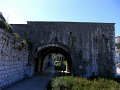 RIMG0307.jpg