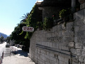 RIMG0315.jpg