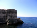 RIMG0319.jpg