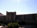 RIMG0320.jpg