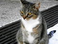 RIMG0334.jpg