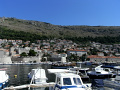 RIMG0336.jpg