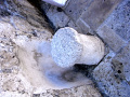 RIMG0339.jpg