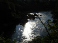 RIMG0374.jpg