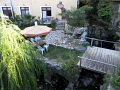 RIMG0383.jpg