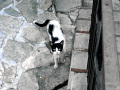 RIMG0394.jpg