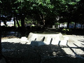 RIMG0412.jpg
