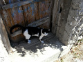 RIMG0423.jpg